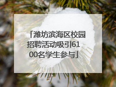 潍坊滨海区校园招聘活动吸引6100名学生参与