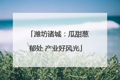 潍坊诸城：瓜甜葱郁处 产业好风光