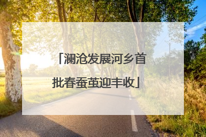 澜沧发展河乡首批春蚕茧迎丰收