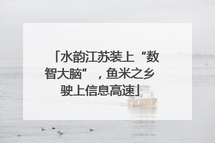 水韵江苏装上“数智大脑”，鱼米之乡驶上信息高速