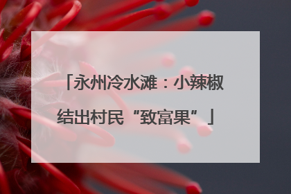 永州冷水滩：小辣椒结出村民“致富果”