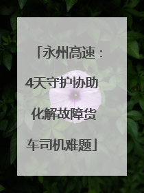 永州高速：4天守护协助 化解故障货车司机难题