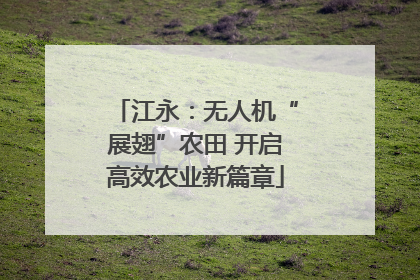 江永：无人机“展翅”农田 开启高效农业新篇章