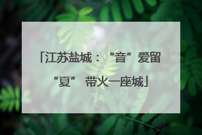 江苏盐城：“音”爱留“夏” 带火一座城