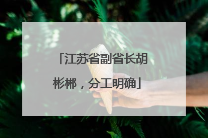江苏省副省长胡彬郴，分工明确