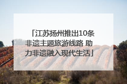 江苏扬州推出10条非遗主题旅游线路 助力非遗融入现代生活