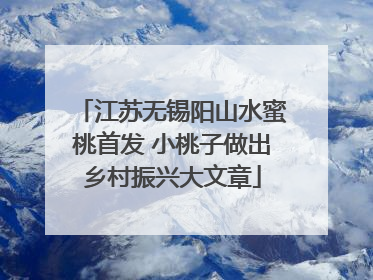 江苏无锡阳山水蜜桃首发 小桃子做出乡村振兴大文章