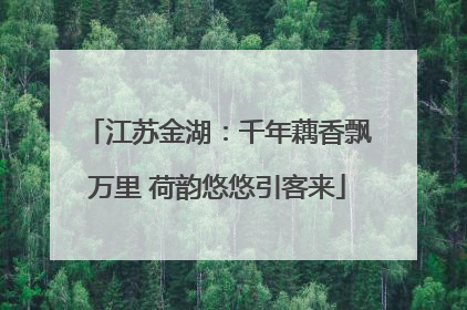 江苏金湖：千年藕香飘万里 荷韵悠悠引客来
