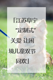 江苏阜宁“定制式”关爱 让困境儿童双节同欢