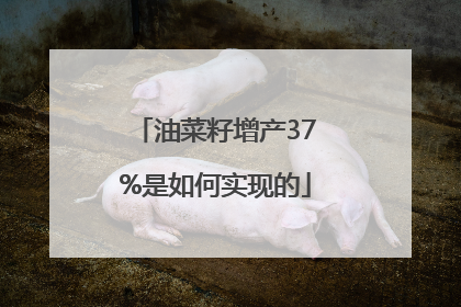 油菜籽增产37%是如何实现的