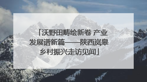 沃野田畴绘新卷 产业发展谱新篇——陕西岚皋乡村振兴走访见闻