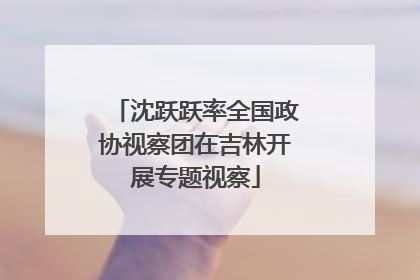 沈跃跃率全国政协视察团在吉林开展专题视察