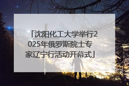 沈阳化工大学举行2025年俄罗斯院士专家辽宁行活动开幕式