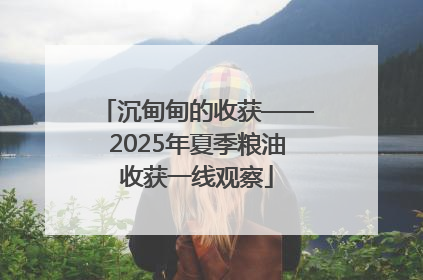 沉甸甸的收获——2025年夏季粮油收获一线观察