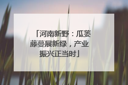 河南新野：瓜蒌藤蔓展新绿，产业振兴正当时