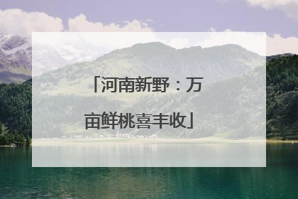 河南新野：万亩鲜桃喜丰收