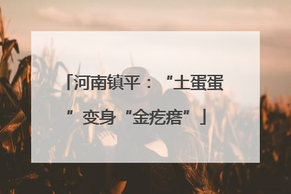 河南镇平：“土蛋蛋”变身“金疙瘩”