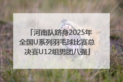 河南队跻身2025年全国U系列羽毛球比赛总决赛U12组男团八强
