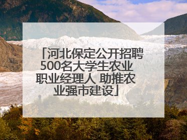 河北保定公开招聘500名大学生农业职业经理人 助推农业强市建设