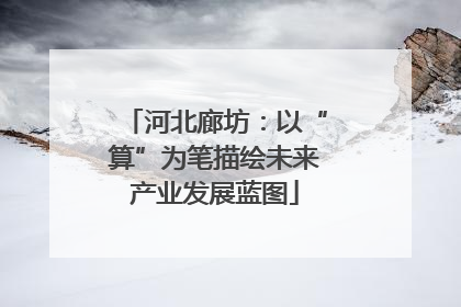 河北廊坊：以“算”为笔描绘未来产业发展蓝图