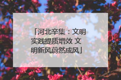 河北辛集：文明实践提质增效 文明新风蔚然成风