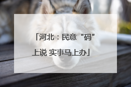 河北：民意“码”上说 实事马上办