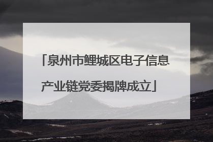 泉州市鲤城区电子信息产业链党委揭牌成立