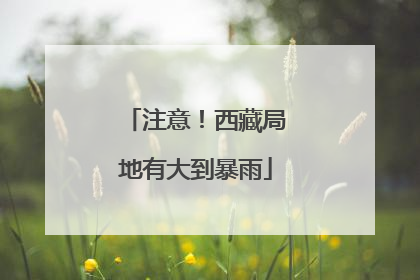 注意！西藏局地有大到暴雨