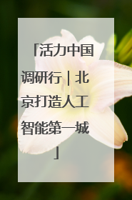 活力中国调研行｜北京打造人工智能第一城