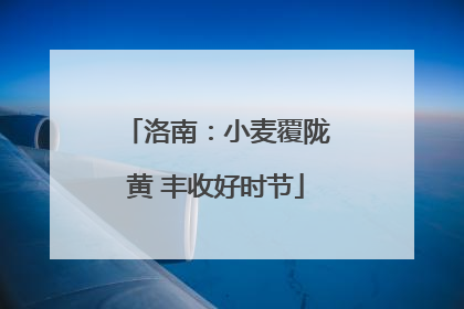 洛南：小麦覆陇黄 丰收好时节
