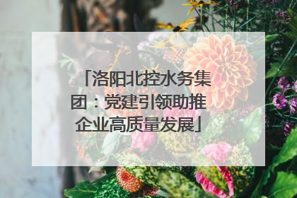洛阳北控水务集团：党建引领助推企业高质量发展
