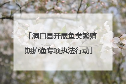 洞口县开展鱼类繁殖期护渔专项执法行动