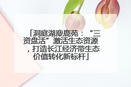 洞庭湖麋鹿苑：“三资盘活”激活生态资源，打造长江经济带生态价值转化新标杆