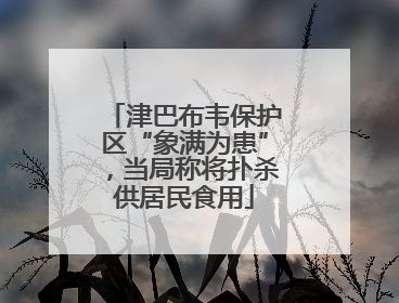 津巴布韦保护区“象满为患”，当局称将扑杀供居民食用