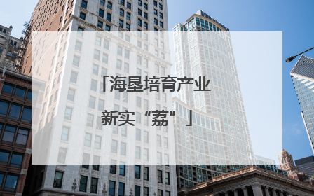 海垦培育产业新实“荔”