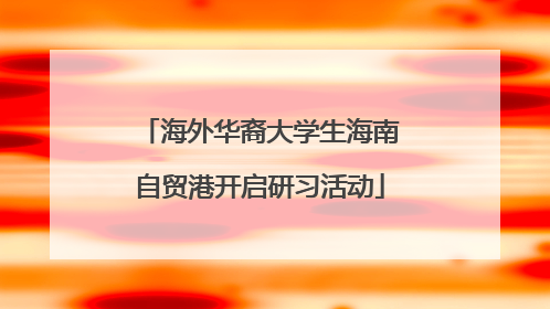 海外华裔大学生海南自贸港开启研习活动