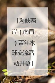 海峡两岸（南昌）青年木球交流活动开幕