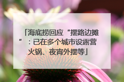 海底捞回应“摆路边摊”：已在多个城市设露营火锅、夜宵外摆等
