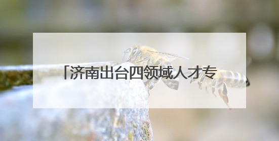 济南出台四领域人才专项政策 赋能产业发展