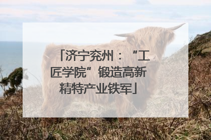 济宁兖州：“工匠学院”锻造高新精特产业铁军