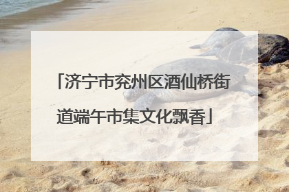 济宁市兖州区酒仙桥街道端午市集文化飘香
