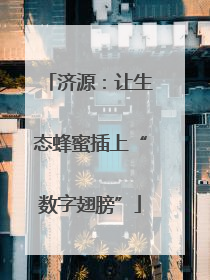 济源：让生态蜂蜜插上“数字翅膀”