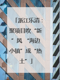 浙江乐清：聚项目吹“新”风 “海边小镇”成“热土”