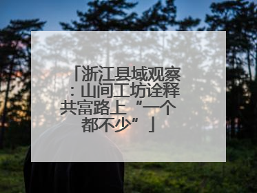 浙江县域观察：山间工坊诠释共富路上“一个都不少”