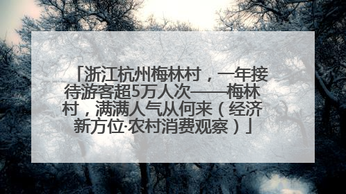 浙江杭州梅林村，一年接待游客超5万人次——梅林村，满满人气从何来（经济新方位·农村消费观察）