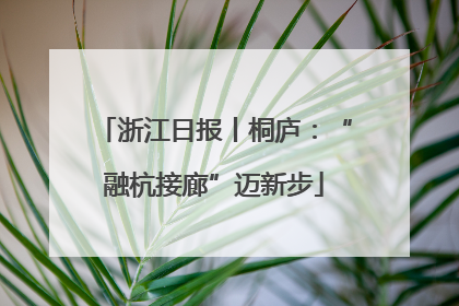 浙江日报丨桐庐：“融杭接廊”迈新步