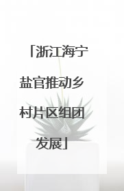 浙江海宁盐官推动乡村片区组团发展