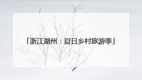 浙江湖州：夏日乡村旅游季