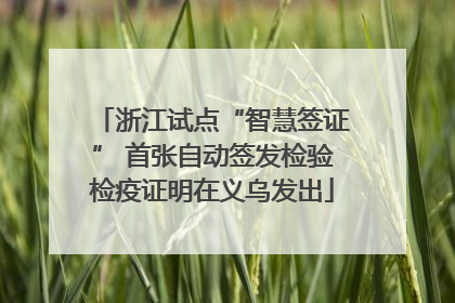 浙江试点“智慧签证” 首张自动签发检验检疫证明在义乌发出