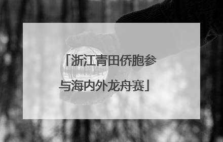 浙江青田侨胞参与海内外龙舟赛